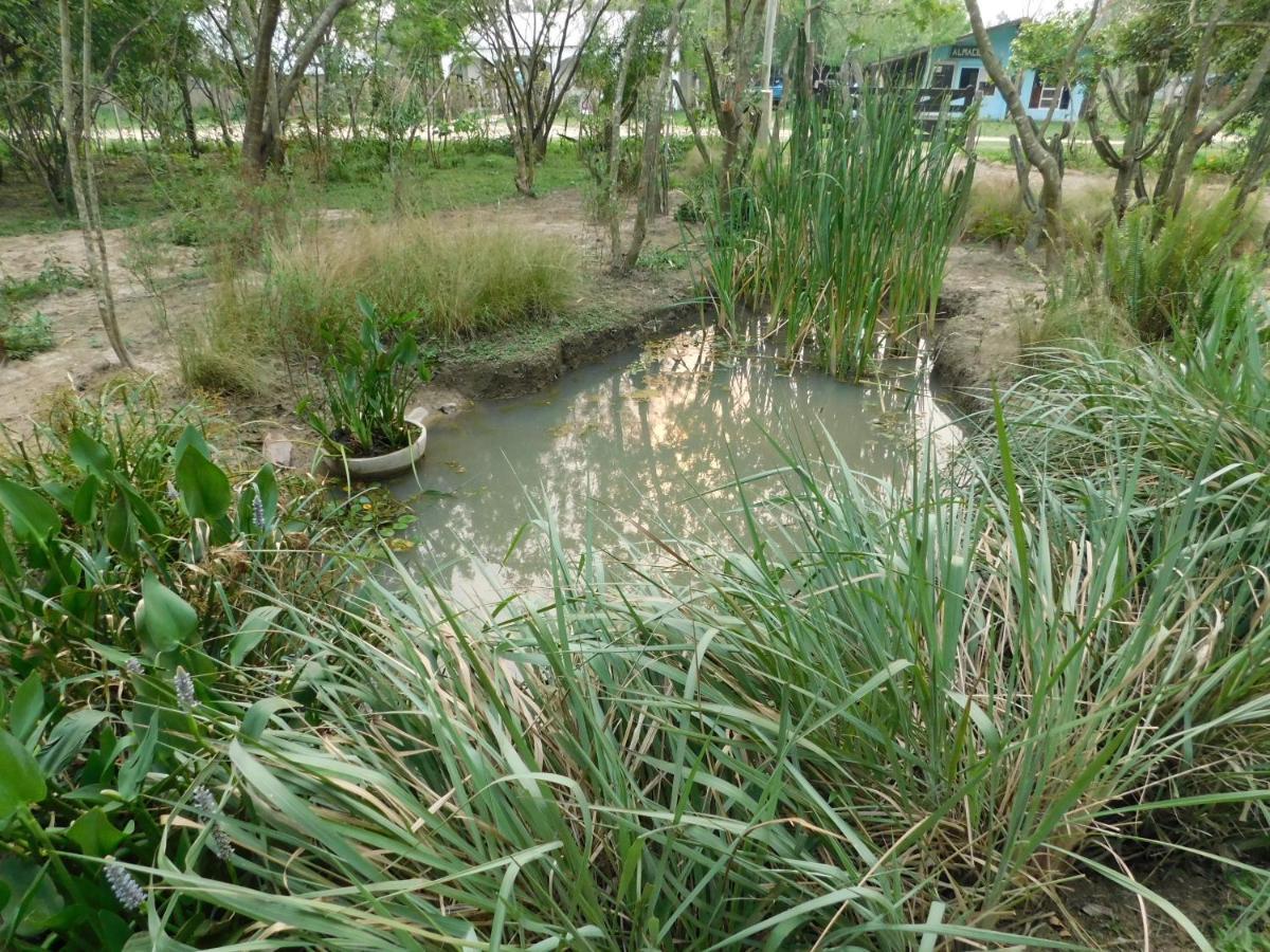 Arandu Ecolodge Colonia Carlos Pellegrini  Εξωτερικό φωτογραφία